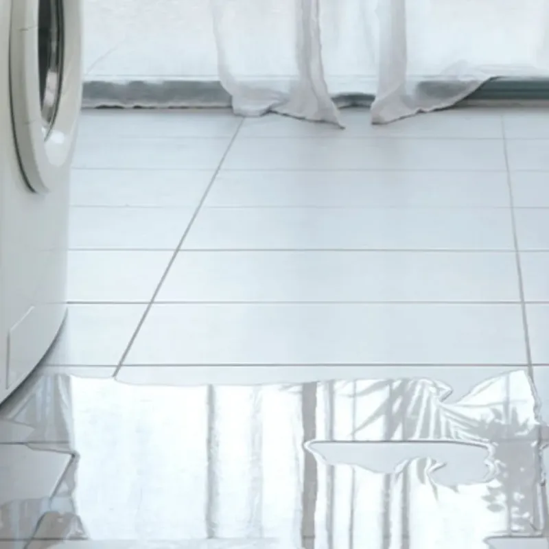 Appliance Leak Cleanup in Winneshiek County, IA
