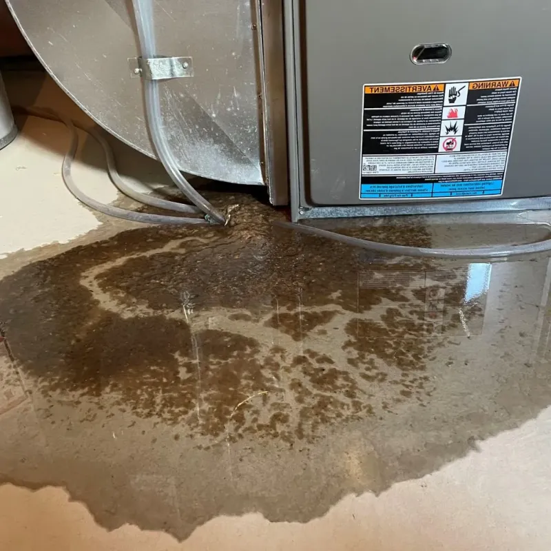 Pipe Burst and Leak Restoration in Winneshiek County, IA