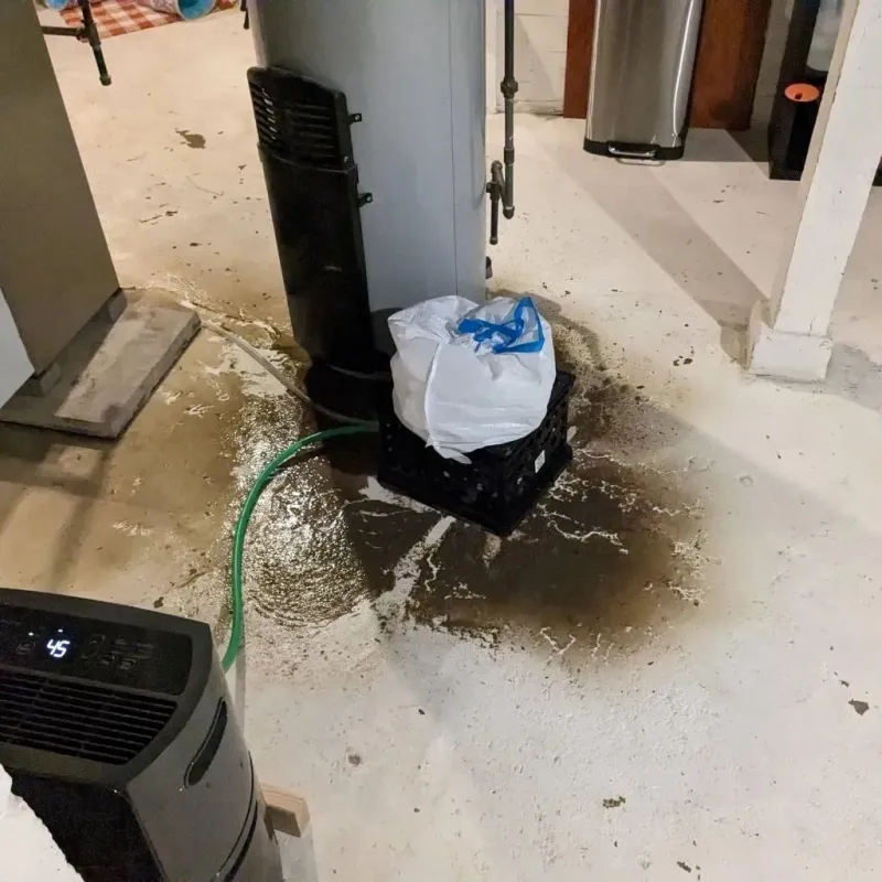 Sewage Backup Cleanup Service in Winneshiek County, IA